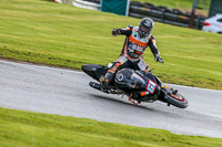 Oulton-Park-14th-March-2020;PJ-Motorsport-Photography-2020;anglesey;brands-hatch;cadwell-park;croft;donington-park;enduro-digital-images;event-digital-images;eventdigitalimages;mallory;no-limits;oulton-park;peter-wileman-photography;racing-digital-images;silverstone;snetterton;trackday-digital-images;trackday-photos;vmcc-banbury-run;welsh-2-day-enduro